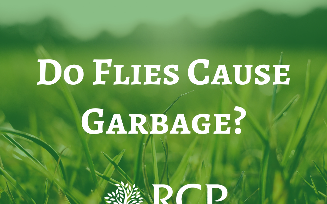 Do Flies Cause Garbage?