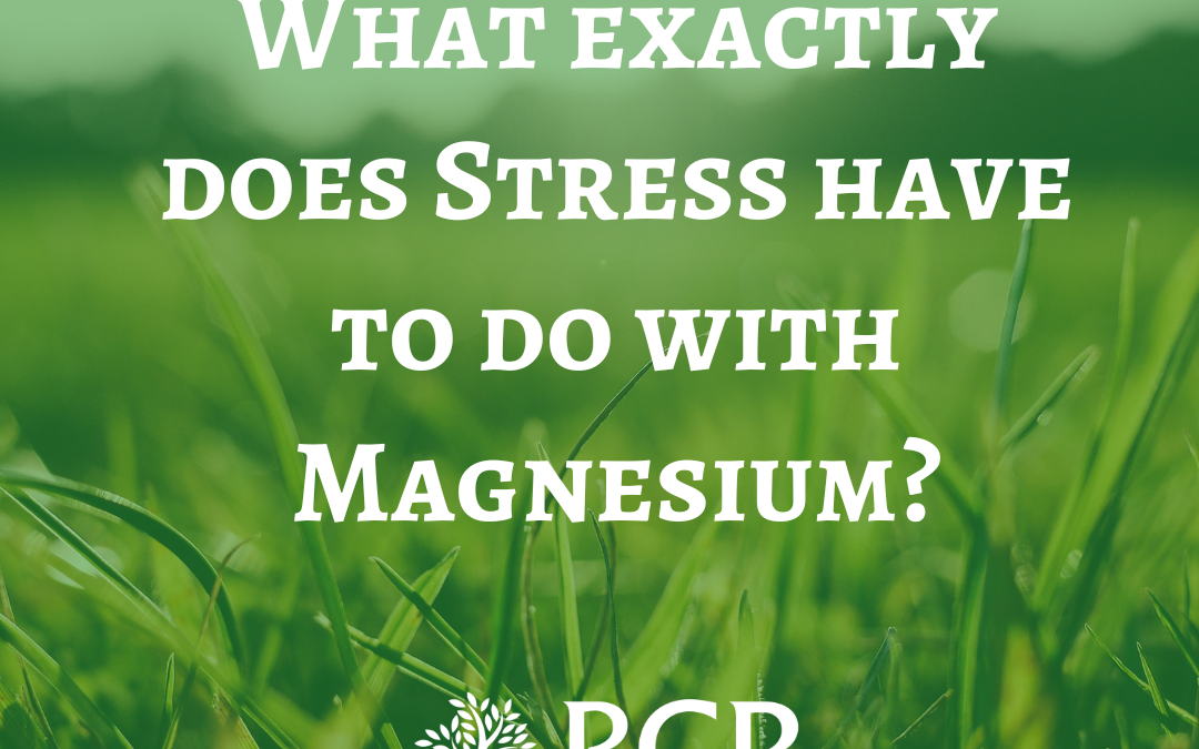 What exactly does Stress have to do with Magnesium?…
