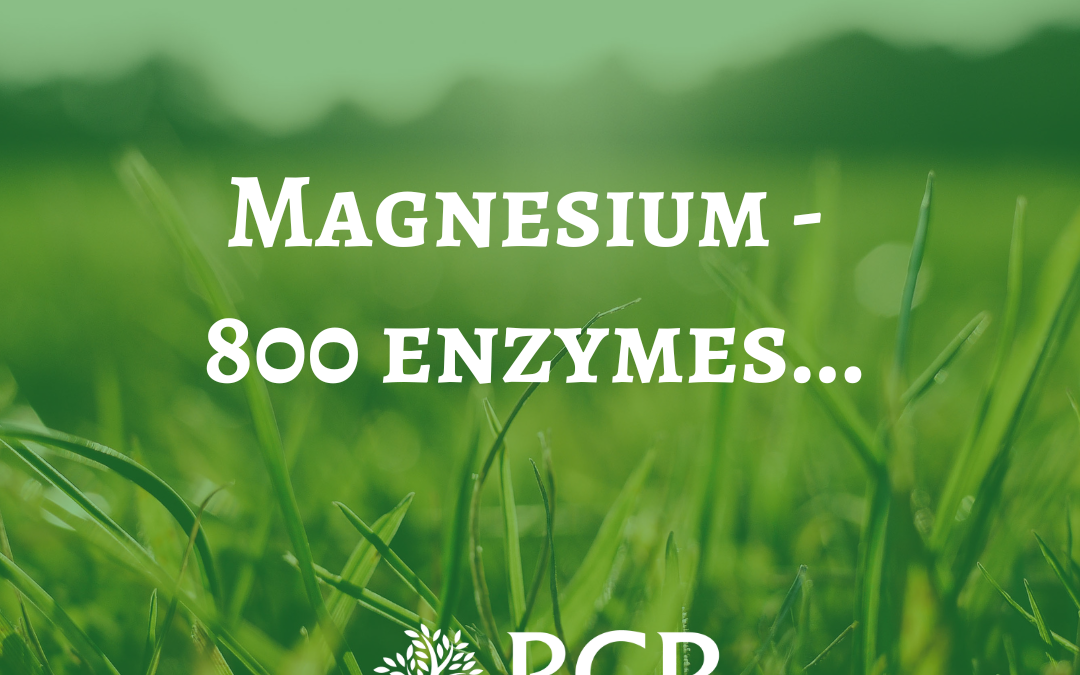 Magnesium — 800 enzymes…