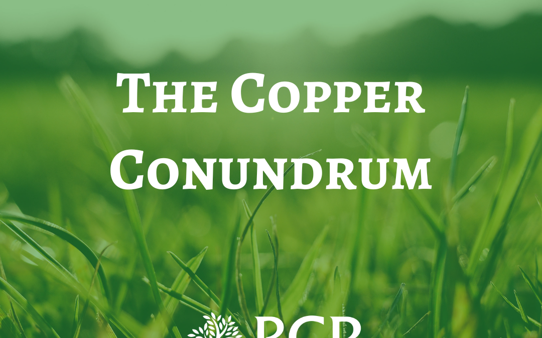 The Copper Conundrum…