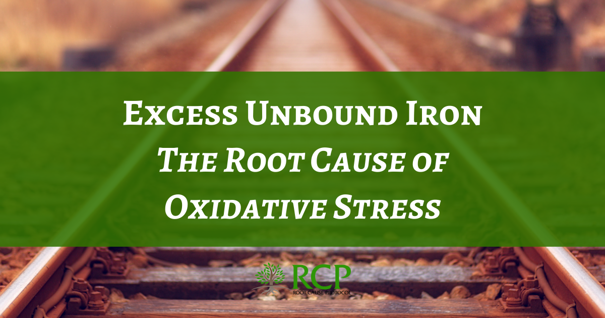 Excess Unbound Iron The Root Cause of Oxidative Stress Free Video