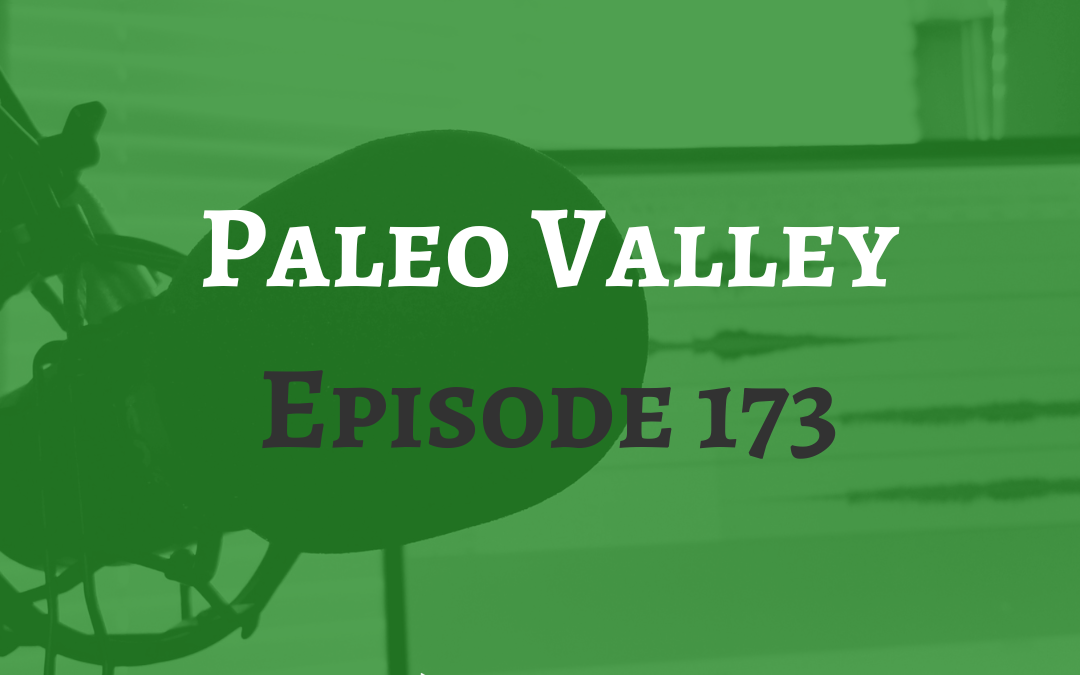 Paleo Valley | The truth about iron and oxidative stress (Episode 173) | September 5, 2019