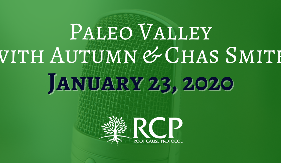 Paleo Valley | Anemia, Autophagy, Copper Toxicity & Vitamin A with Morley Robbins (Episode 220) | January 23, 2020