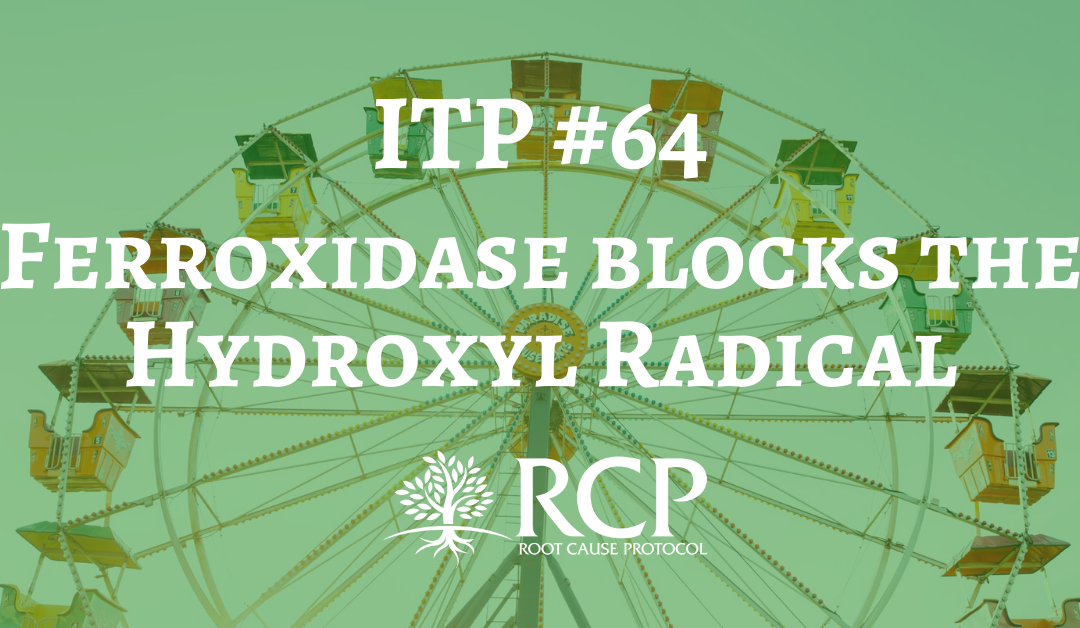 Iron Toxicity Post #64: Ferroxidase blocks the Hydroxyl Radical (OH*)