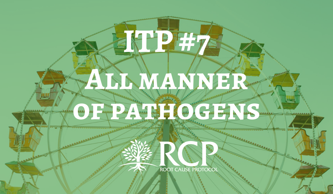 Iron Toxicity Post #7: All manner of pathogens – fungal, viral, mycotoxin etc., MUST have iron to flourish and grow!