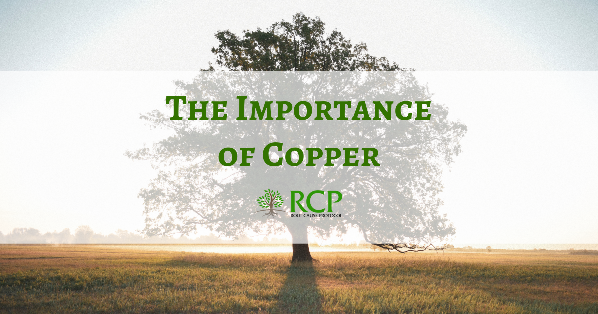 Webinar Replay The importance of copper