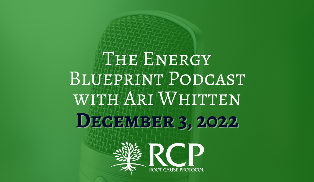 The Energy Blueprint Podcast | Is Iron Supplementation The Best Treatment for Anemia? | December 3, 2022
