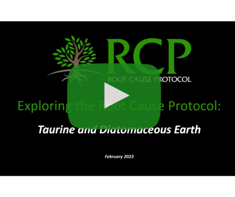 Webinar Archive | The Root Cause Protocol