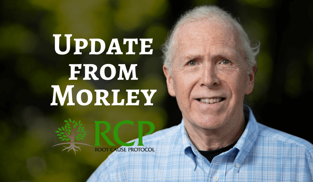 An update from Morley