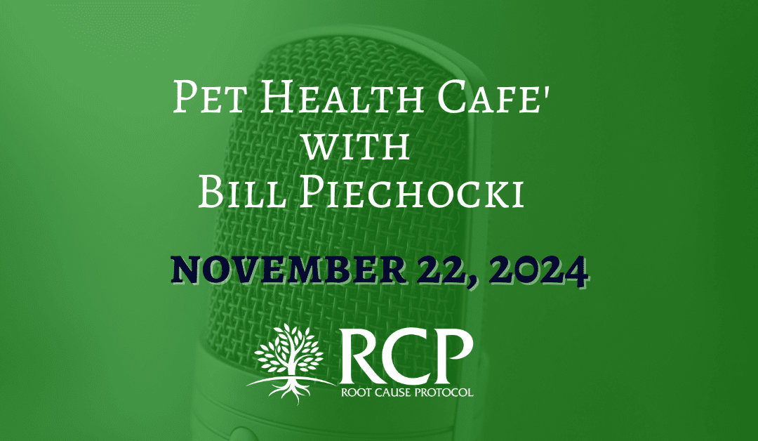 Pet Health Cafe’ | The Importance of Bio-Available Minerals in the Body | Nov 22, 2024